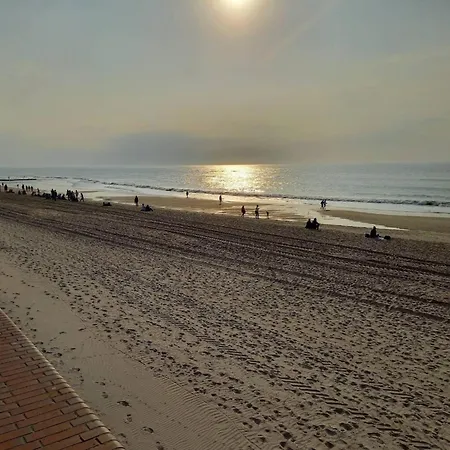 In Auf Sylt Apartament